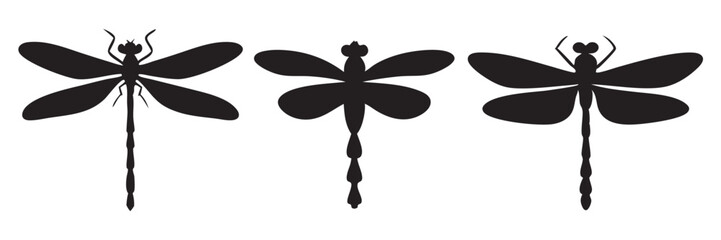 Set of dragonfly vector silhouette, dragonfly vector illustration