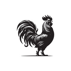 Bantam Chicken Vector (2).eps