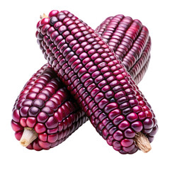 Purple Corn Fresh Organic Maize Black Corn Andean Corn isolated on transparent background