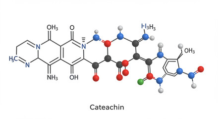 Visualization of cateachin molecular structure with detailed chemical composition