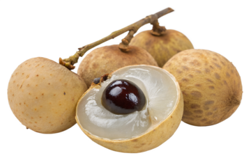 longan fruit isolated on white background