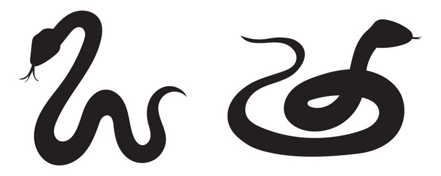 Vector monochrome tangled snake set. Collection of black outline and silhouette pythons with plant decoration isolated from background. Symbol of Chinese New Year for icons, logos
