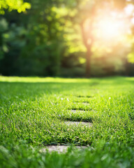 Naklejka premium Serene nature scene showing footsteps fading into lush green landscape, illuminated by soft sunlight