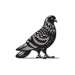 Pigeon Vector (4).eps