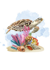 sea life watercolor background