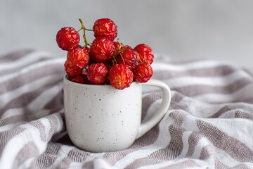 Natural Cornel Berries Arranged in a Cup with a Picnic Cloth on Neutral Background


