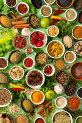 Fresh, fragrant spices and herbs arranged in an array of colors, sitting on a soft green backdrop, bringing flavor and zest to any kitchen