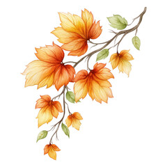 Fototapeta premium Watercolor painted autumn branch with orange leaves isolated on white background.