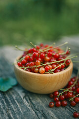 Fresh red currants in a wooden bowl on rustic wooden table. Natural summer harvest scene with vibrant red berries and green blurred background, perfect for healthy eating or gardening themes