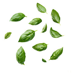 Fresh basil leaves delicately scattered, showcasing vibrant green hues and textures. The leaves are arranged with a focus on freshness and flavor