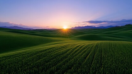 Obraz premium Verdant hills bathed in the radiant glow of a prairie sunrise