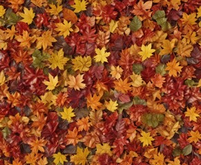Sunlit autumn leaves, showcasing diverse colors and textures ,  nature,  seasonal,  pattern