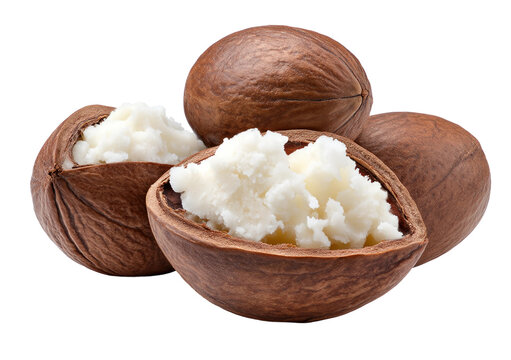 A shea nuts butter isolated on white or transparent background, png clipart