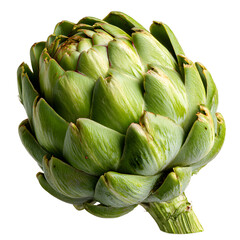 Fototapeta premium A single fresh green artichoke with layered petals is presented against a clean white backdrop showing natural textures and details, highlighting its form.