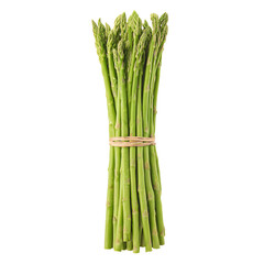 Fresh green asparagus spears are bundled together and secured with a rubber band, displayed against a clean white background in a studio setting for vibrant imagery.