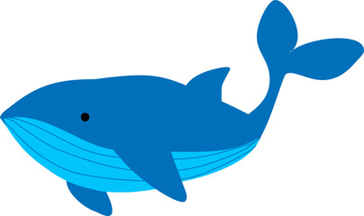 Whale