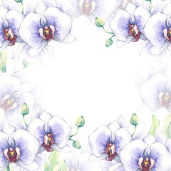 White orchids watercolor frame. Hand-painted tropical flowers with blue centers and green buds on white background. Illustration perfect for invitations, greeting cards, stationery cover designs
