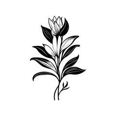 Elegant floral composition depicting a stylized bloom with detailed linework