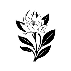 Obraz premium Elegant botanical illustration featuring a blossoming flower with stylized foliage