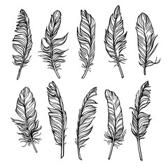 feathers black line, line drawing, hand drawing, set, isolated, transparent background © Marharyta