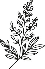 Acanthus flower bouquet silhouette vector illustration isolated on a white background