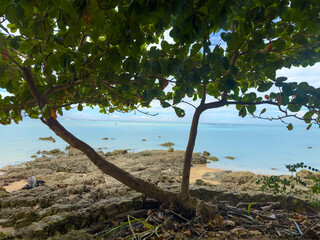 Bealtiful sky day at  sea on Boipeba Island in Bahia