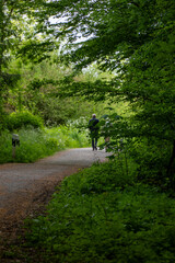 Obraz premium cyclist in the forest