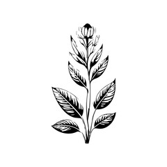 Monochrome botanical illustration showcasing stylized flower and textured foliage