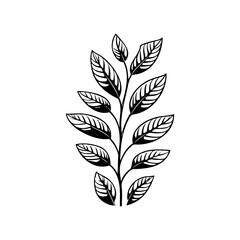 Elegant botanical illustration featuring a symmetrical leaf arrangement on a white field