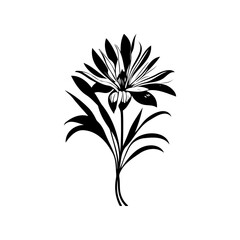 Monochrome botanical illustration of a stylized flower and stem design
