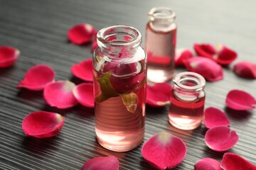 Open perfume bottles with aromatic essential oils and rose petals on grey wooden table, closeup