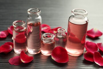 Open perfume bottles with aromatic essential oils and rose petals on grey wooden table, closeup