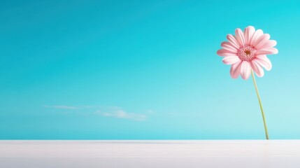 A solitary pink daisy stands tall against a soft blue sky, exuding simplicity and beauty in nature, evoking feelings of peace and sweetness.