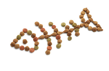 Fish skeleton made of dry pet food isolated on white, above view