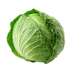 The fresh green cabbage, showcasing its crinkled leaves and dense head, is captured in stunning detail against a crisp white background illuminating its texture.