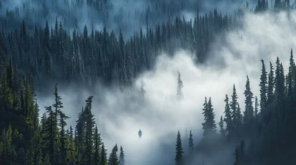 Wandcirkels Mistig bos Misty mountain forest canopy view from above.  © smbh