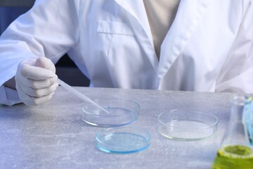 Scientist taking sample with pipette out of Petri dish at table in laboratory, closeup