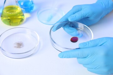 Scientist holding Petri dishes on white background, closeup