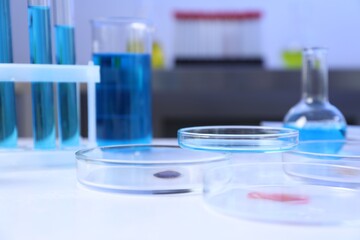 Petri dishes, flasks and test tubes with samples on white background, closeup