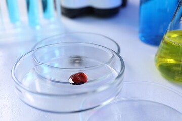 Petri dishes with samples on white background, closeup