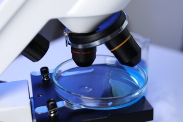 Petri dish on microscope in laboratory, closeup