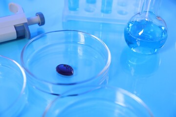 Petri dishes and flask with samples on light blue background, closeup