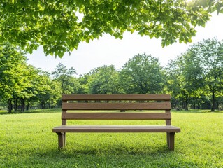 Wooden park bench under lush trees