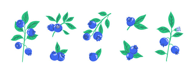 Set of blueberries. Cartoon forest berries with leaves, branch with organic garden blueberry fruits, botanic floral elements for packaging design. Vector collection
