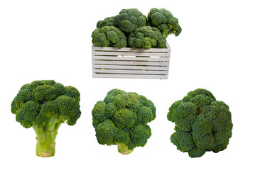 Fresh tasty broccoli isolated on white background.