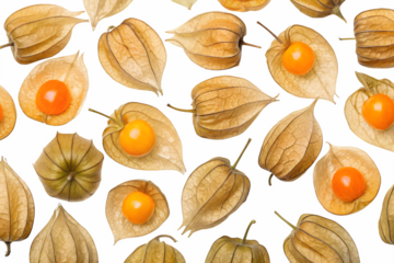 physalis seamless pattern background
