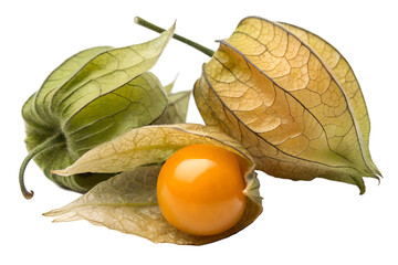 physalis isolated on white background