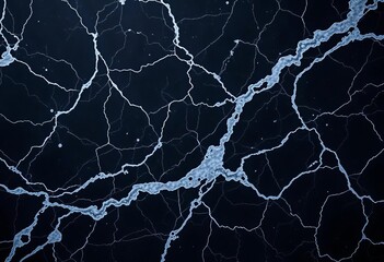 Intricate black marble veining, deep shadows, subtle light reflections, high resolution, wallpaper