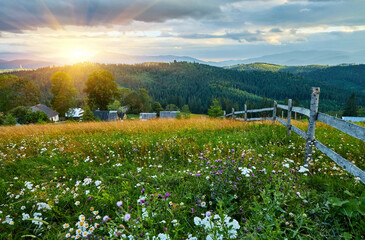 Mountain Meadow Wildflowers Forest Fence