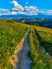 Mountain Path Meadow Summer Landscape